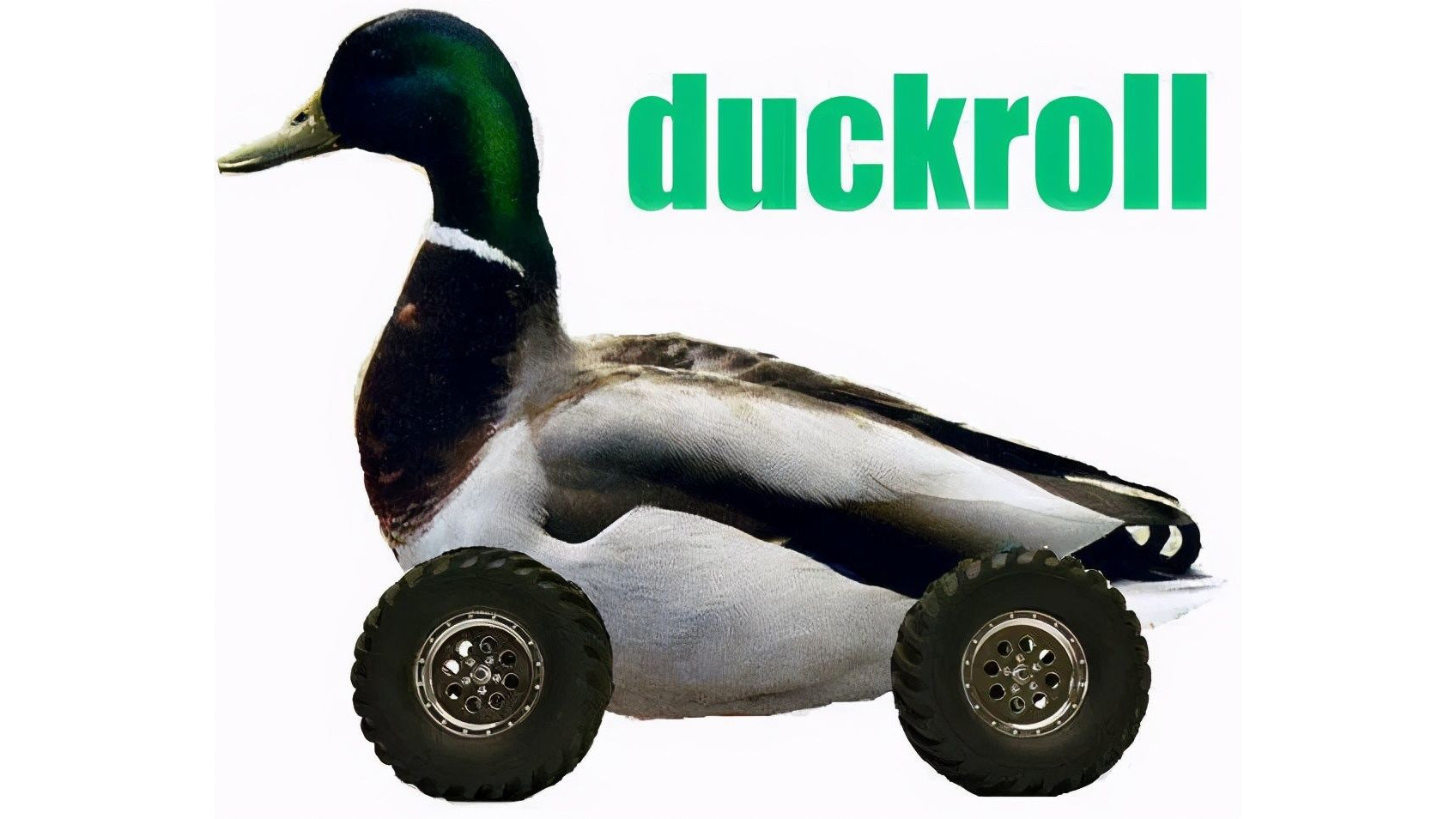 a duck on wheels